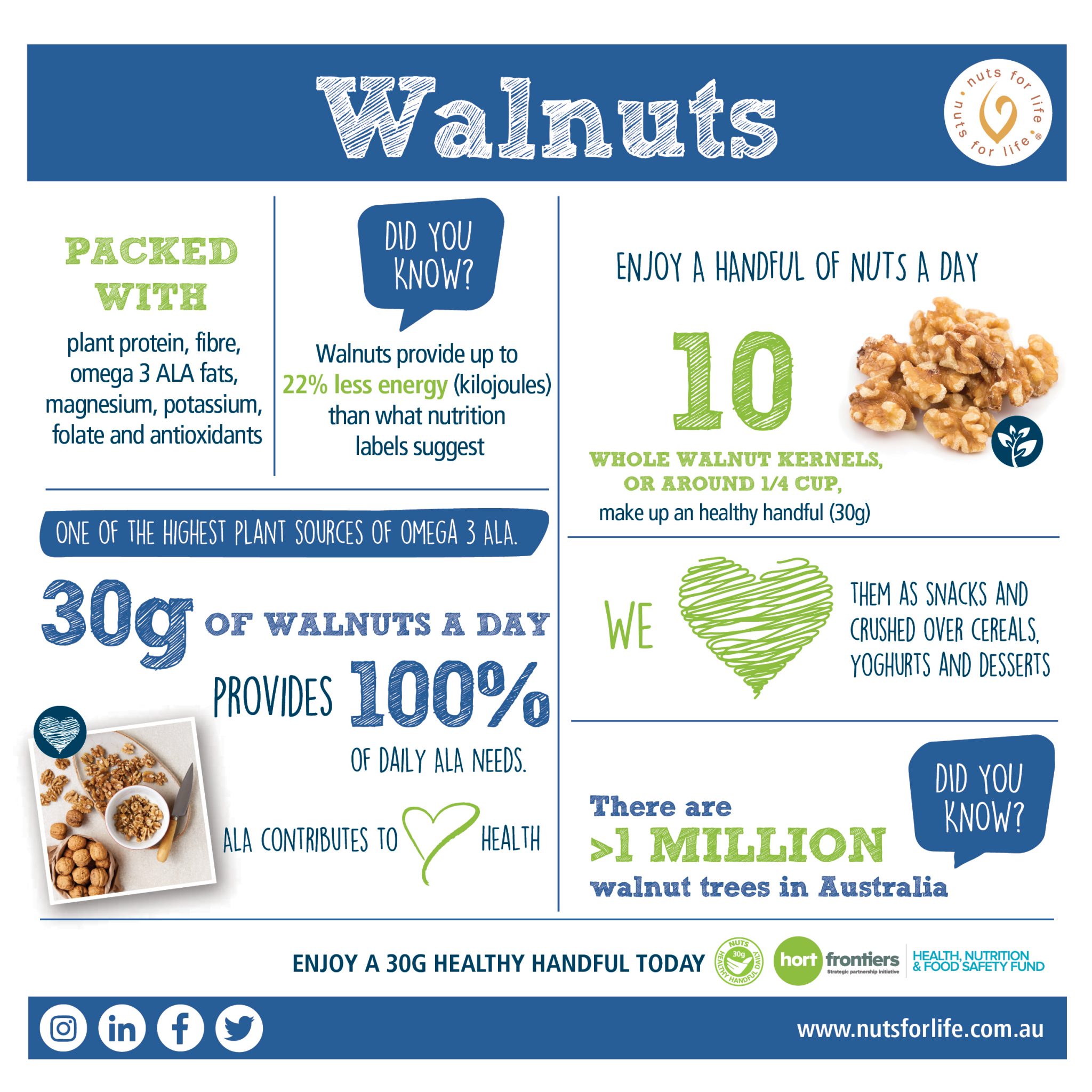Walnuts
